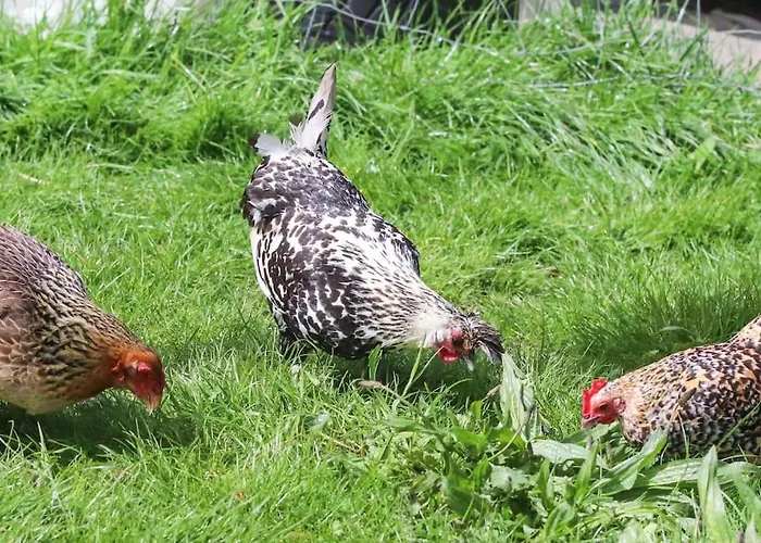 Gite A La Ferme